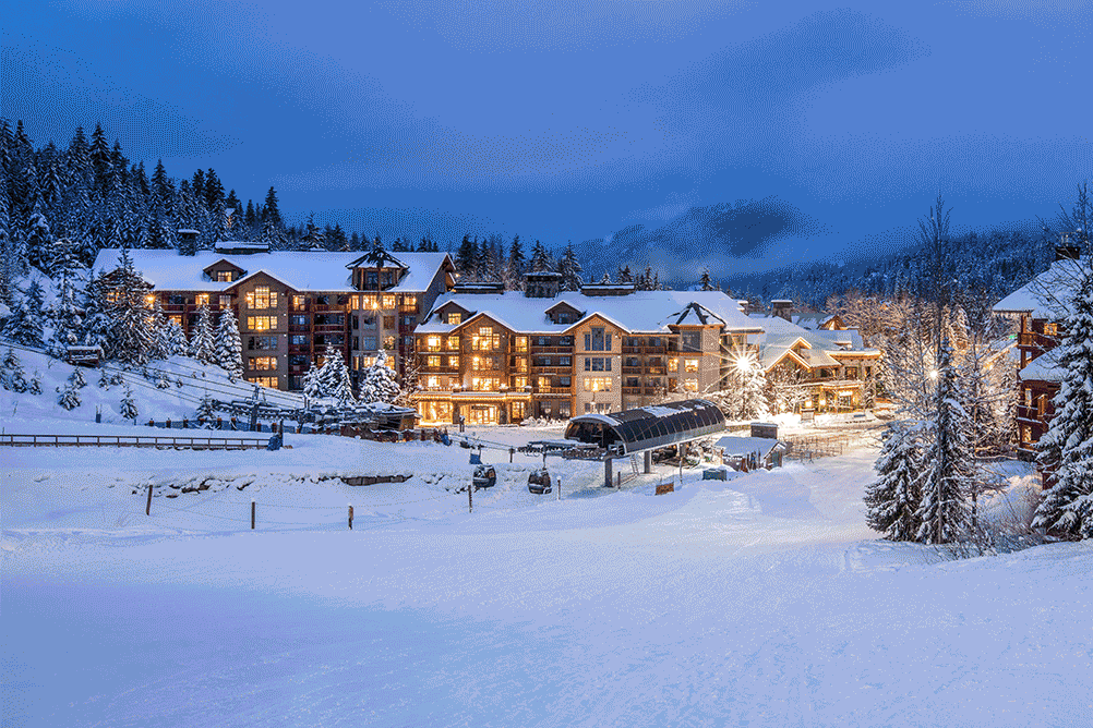 2024 Cyber Sale Digital Images