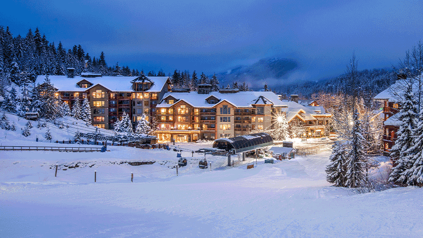 2024 Cyber Sale Digital Image