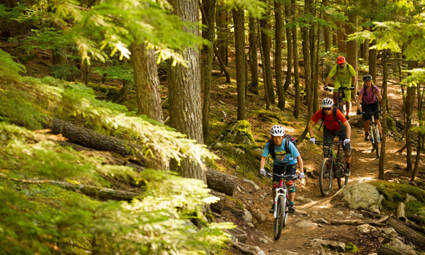 intro to mountain biking